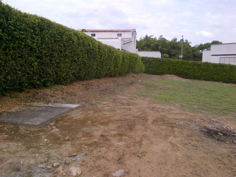 Foto Lote en Venta en La Tebaida, Quindío - $ 160.000.000 - LOV55069 - BienesOnLine