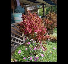 Casa en Venta en  Medellín, Antioquia