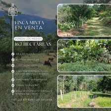 Finca en Venta en  San Vicente de Chucurí, Santander