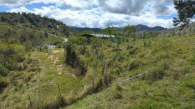 Finca en Venta entre Alejandría y Santo Domingo, Antioquia, – 3 Hectáreas con Casa y Pesebrera