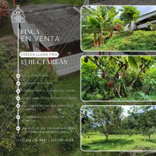 Finca Cacaotera en Venta, en San Vicente de Chucurí (Santander)