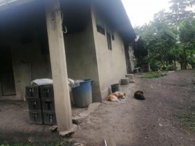 Finca en Villeta con 18.000 m², vivienda y servicios – Gran oportunidad de inversión