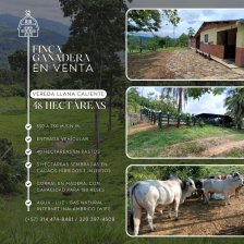 Finca Mixta en Venta, en San Vicente de Chucurí (Santander)