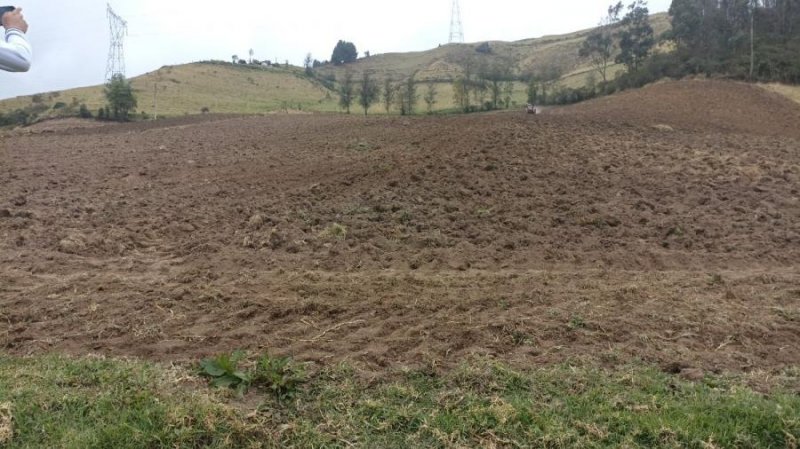 ? OPORTUNIDAD DE INVERSIÓN ? 15.231m2 A 10 MINUTOS DE PASTO, BOTANA 3128644055