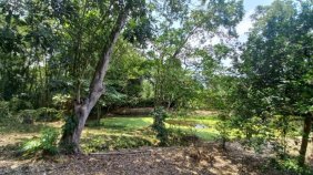 Lote en Venta en via a Mesitas del Colegio La Mesa, Cundinamarca