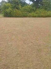 Lote en Venta en  Turbaco, Bolívar