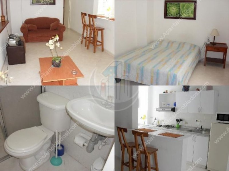 Foto Apartamento en Arriendo en El Poblado, Medellín, Antioquia - APA56535 - BienesOnLine