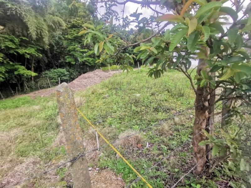 Lote en Venta en FUSAGASUGA  CUNDINAMARCA COLOMBIA FUSAGASUGA CHINAUTA CUNDINAMARCA COLOMBIA, Cundinamarca