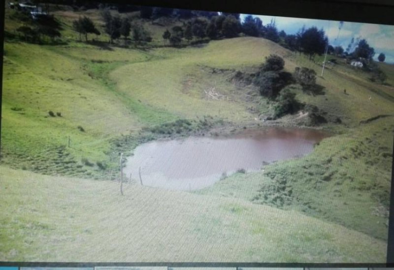 Foto Finca en Venta en Choconta, Cundinamarca - $ 3.145.000.000 - FIV150619 - BienesOnLine
