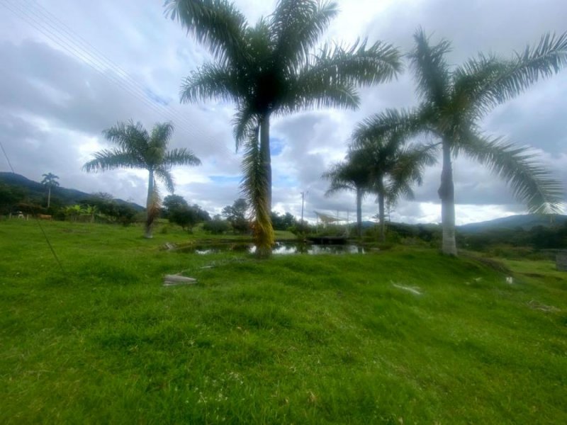 Lote en Venta en  Darién, Valle del Cauca