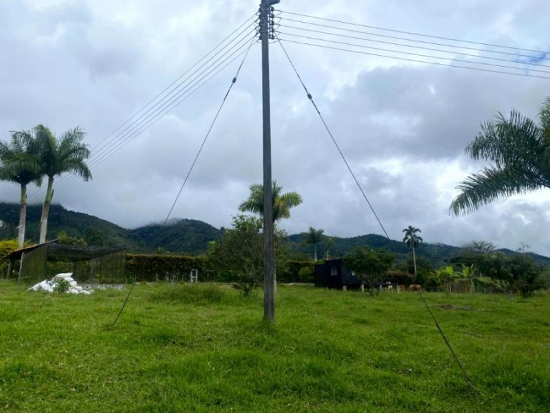 Lote en Venta en  Darién, Valle del Cauca