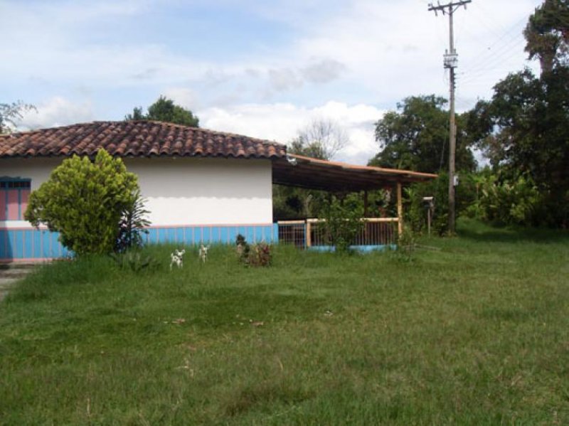Foto Finca en Venta en , Quindío - FIV32723 - BienesOnLine