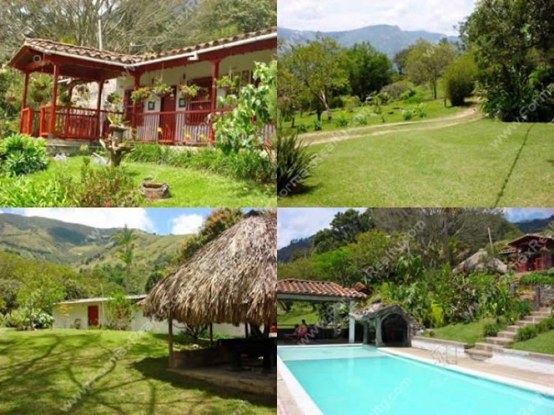 Foto Finca en Venta en pobladop, Medellín, Antioquia - $ 400.000.000 - FIV43766 - BienesOnLine