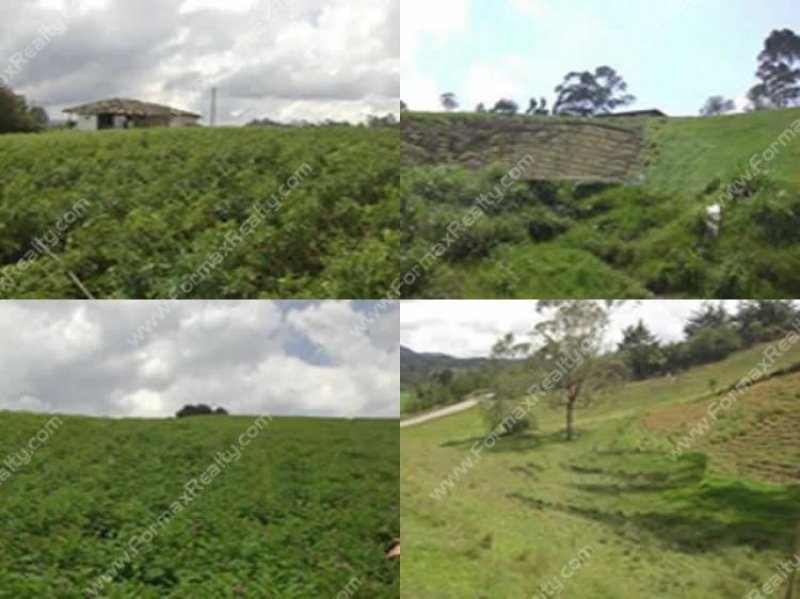 Foto Finca en Venta en pobladop, Medellín, Antioquia - $ 240.000.000 - FIV43775 - BienesOnLine