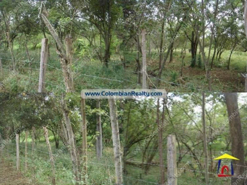 Foto Lote en Venta en Medellín, Antioquia - LOV45357 - BienesOnLine