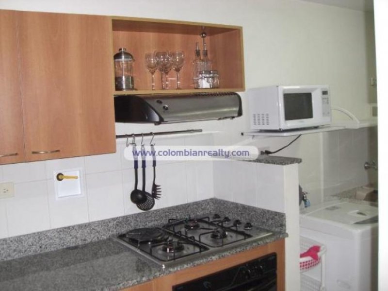 Foto Apartamento en Arriendo en El poblado, Medellín, Antioquia - APA593 - BienesOnLine