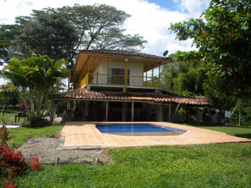 Foto Finca en Venta en Vereda El Cuzco, , Quindío - $ 650.000.000 - FIV30287 - BienesOnLine