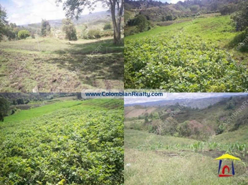 Foto Finca en Venta en Medellín, Antioquia - $ 190.000.000 - FIV45859 - BienesOnLine