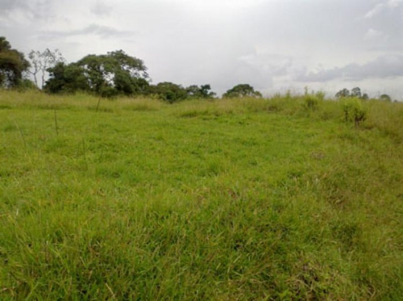 Foto Lote en Venta en Armenia, Quindío - $ 68.000.000 - LOV32276 - BienesOnLine