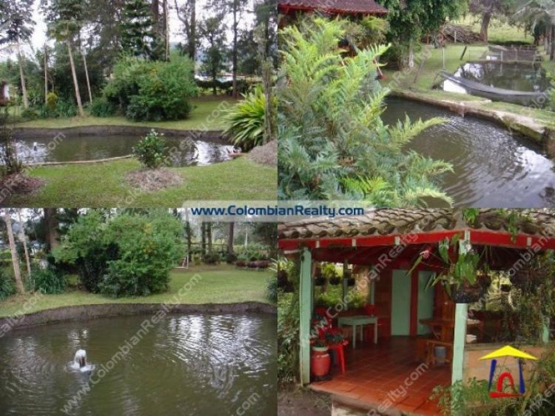 Foto Finca en Venta en Rionegro, Antioquia - $ 740.000.000 - FIV30872 - BienesOnLine