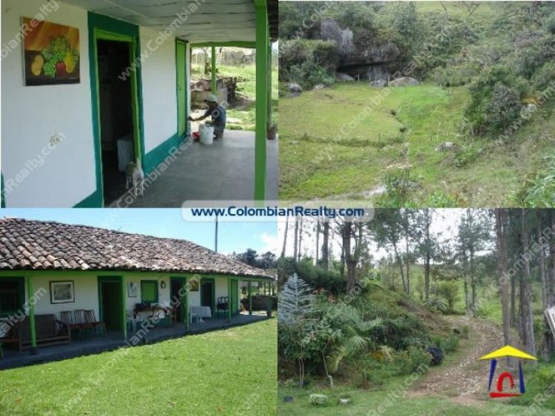Foto Finca en Venta en Medellín, Antioquia - U$D 300.000.000 - FIV45497 - BienesOnLine