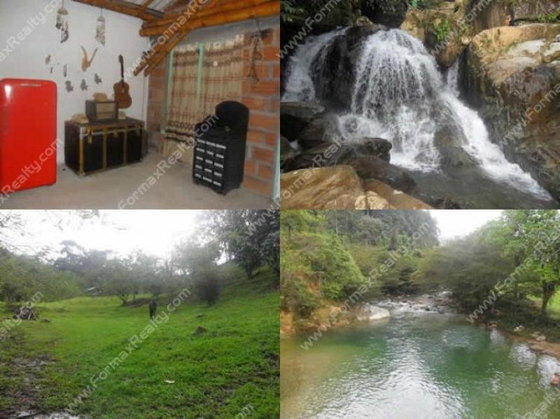 Foto Finca en Venta en Av. El Poblado, Medellín, Antioquia - FIV45891 - BienesOnLine