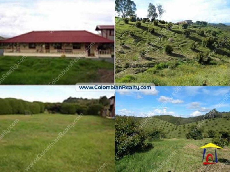 Foto Finca en Venta en Medellín, Antioquia - U$D 620.000.000 - FIV45493 - BienesOnLine