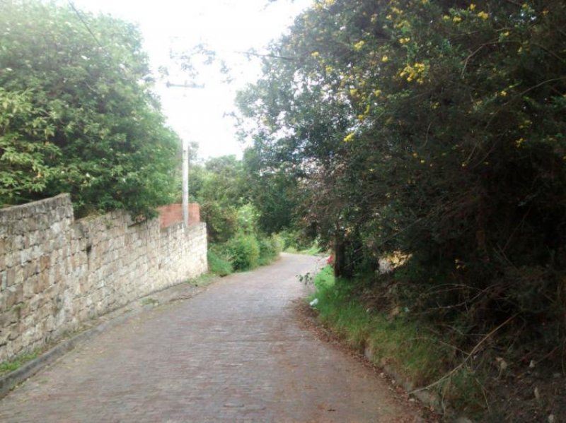 Foto Lote en Arriendo en USAQUEN, Usaquén, Bogota D.C - $ 2.500.000 - LOA99843 - BienesOnLine