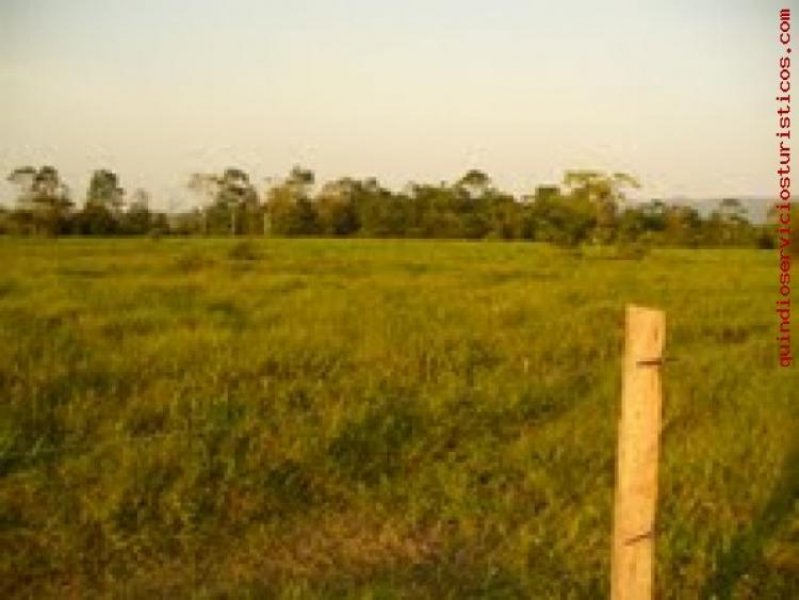 Foto Finca en Venta en Puerto Boyacá, Boyacá - $ 2.147.483.647 - FIV35059 - BienesOnLine