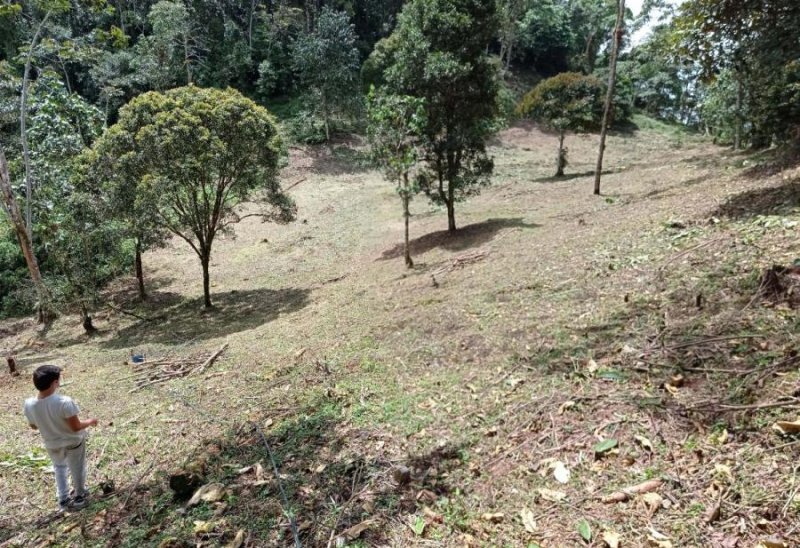 Lote en Venta en  La Vega, Cundinamarca