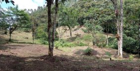 Lote en Venta en  La Vega, Cundinamarca