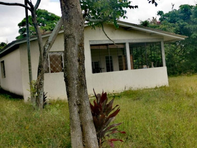 Casa en Venta en CHINAUTA FUSAGASUGA CHINAUTA FUSAGASUGA, Cundinamarca