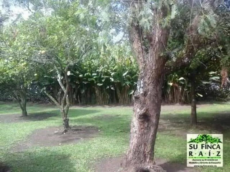 Foto Casa en Venta en Gualanday, Rionegro, Antioquia - $ 890.000.000 - CAV142348 - BienesOnLine