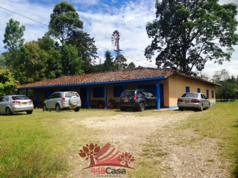 Foto Finca en Venta en Vereda Barro Blanco, Rionegro, Antioquia - $ 1.200.000.000 - FIV86045 - BienesOnLine