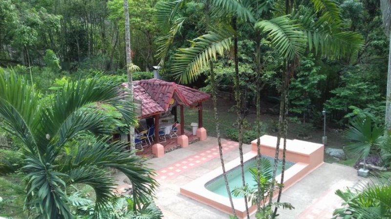Foto Finca en Venta en La Vega, La Vega, Cundinamarca - $ 600.000.000 - FIV180343 - BienesOnLine