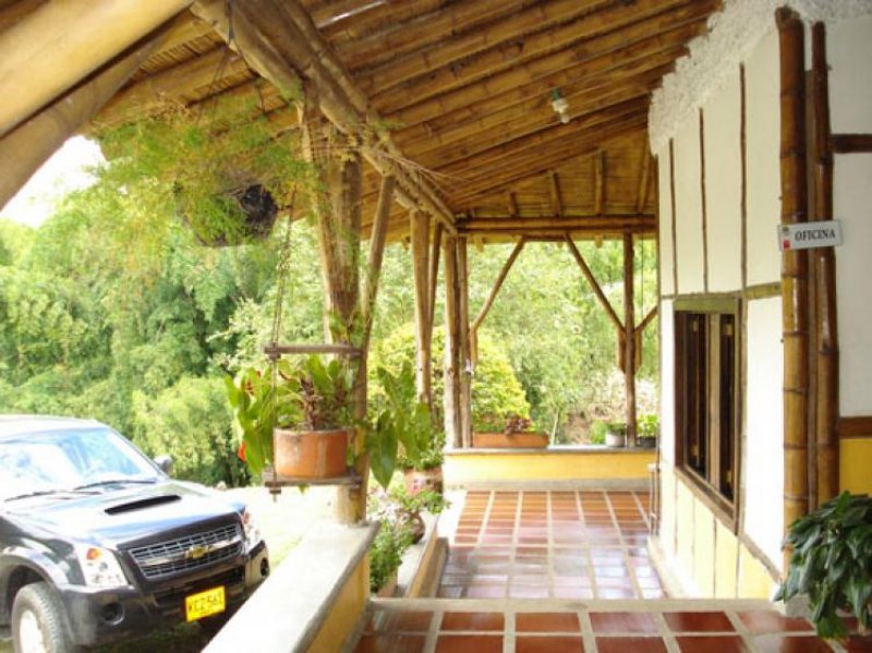 Foto Finca en Venta en Caimo, , Quindío - 11 hectareas - FIV28250 - BienesOnLine