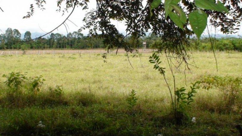 Foto Lote en Venta en La Linda, Cartago, Valle del Cauca - $ 340.000.000 - LOV12913 - BienesOnLine