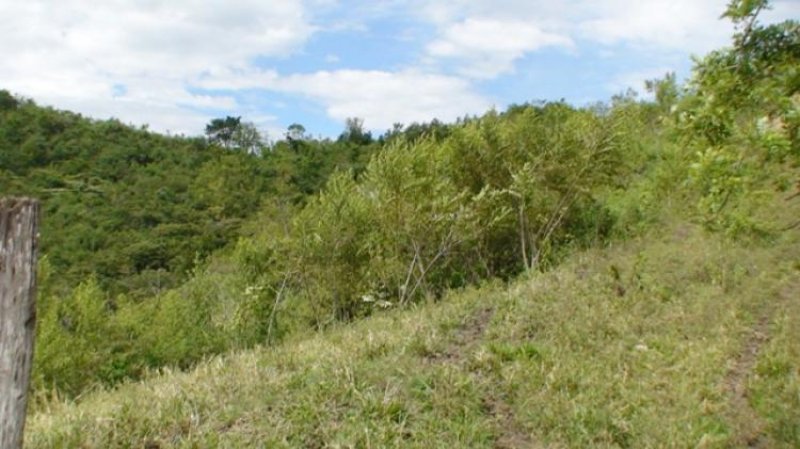 Foto Finca en Venta en GALICIA, Bugalagrande, Valle del Cauca - 601 hectareas - $ 2.147.483.647 - FIV14503 - BienesOnLine