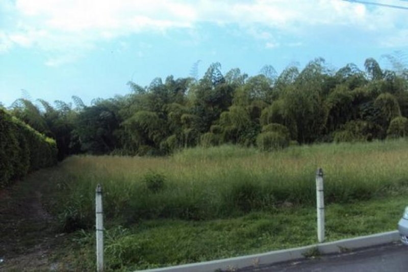 Foto Lote en Venta en MALABAR, Pereira, Risaralda - $ 90.000 - LOV37665 - BienesOnLine