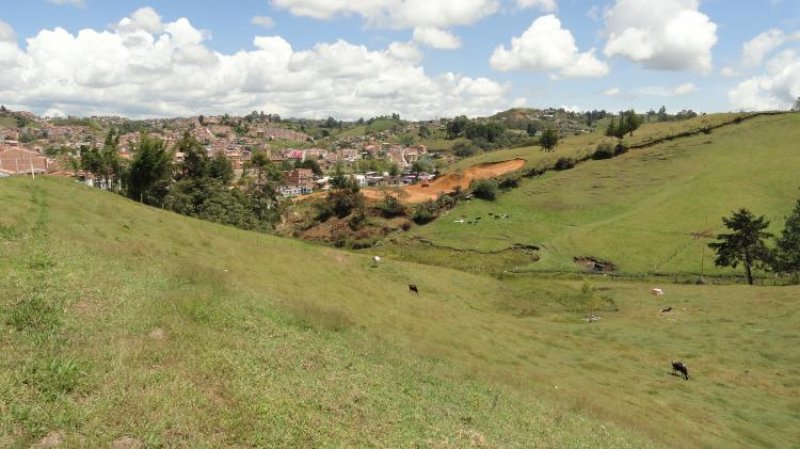 Foto Lote en Venta en Marinilla, Antioquia - $ 5.000.000.000 - LOV40448 - BienesOnLine