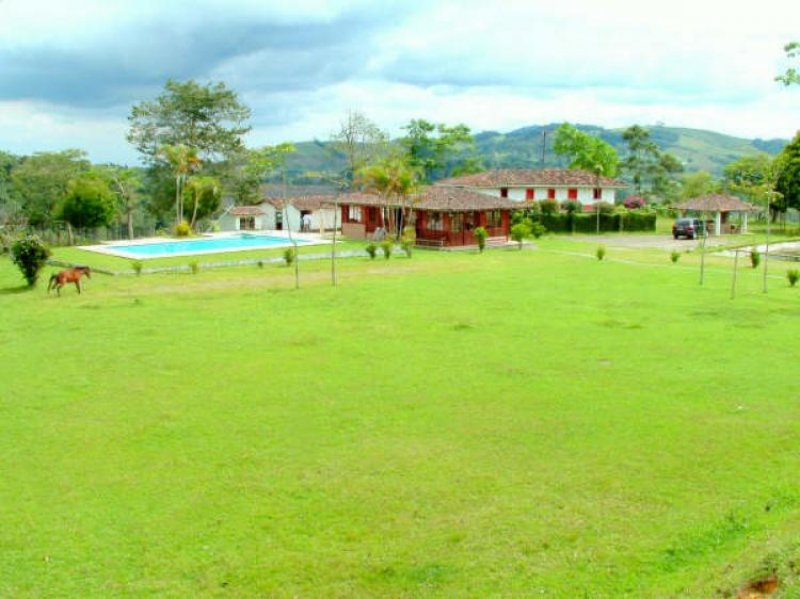 Foto Finca en Venta en lago calima, Bugalagrande, Valle del Cauca - 40 hectareas - $ 1.500.000.000 - FIV11492 - BienesOnLine