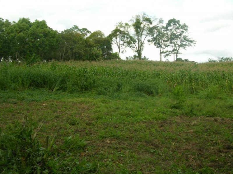 Foto Lote en Venta en pueblo tapao, Armenia, Quindío - $ 120.000.000 - LOV35738 - BienesOnLine