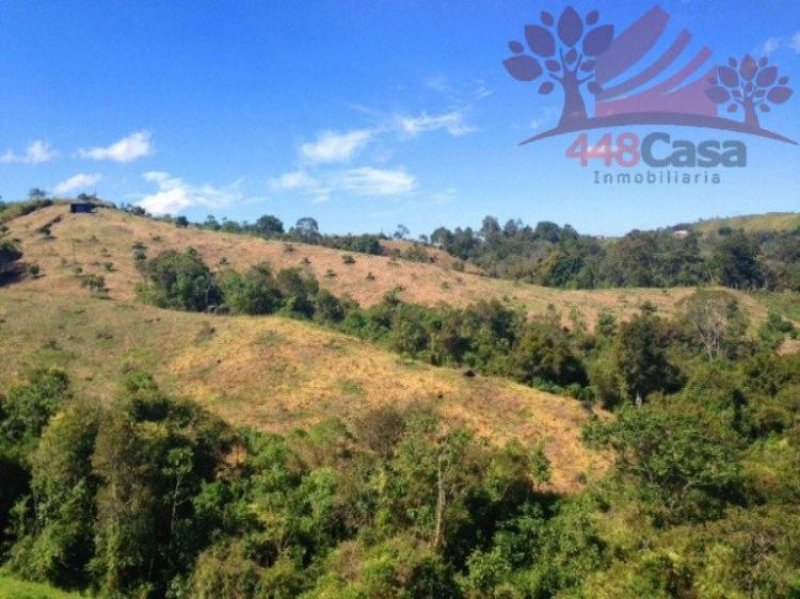 Foto Finca en Venta en Marinilla, Antioquia - $ 1.800.000.000 - FIV79310 - BienesOnLine