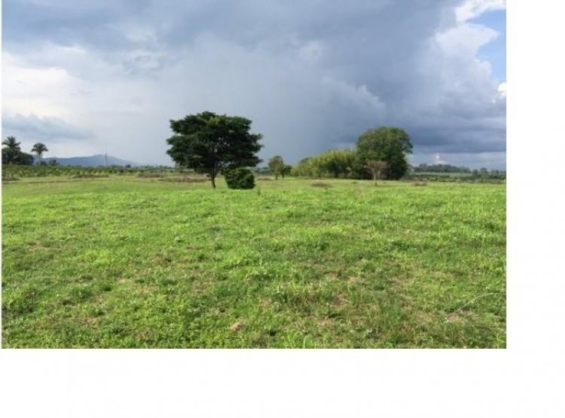 Foto Lote en Venta en VIA ARMENIA AEROPUERTO EL EDEN, VIA ARMENIA AEROPUERTO EL EDEN, Quindío - 4 hectareas - $ 2.600.000.000 - LOV146801 - BienesOnLine