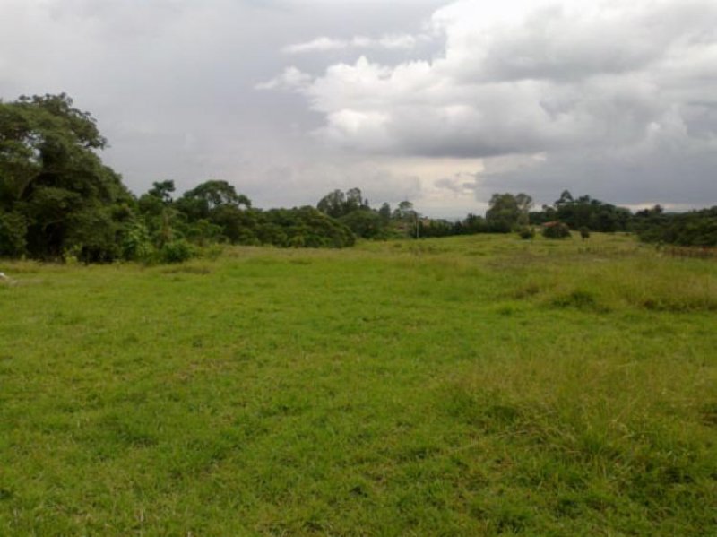 Foto Lote en Venta en Montenegro, Montenegro, Quindío - $ 230.000.000 - LOV54987 - BienesOnLine