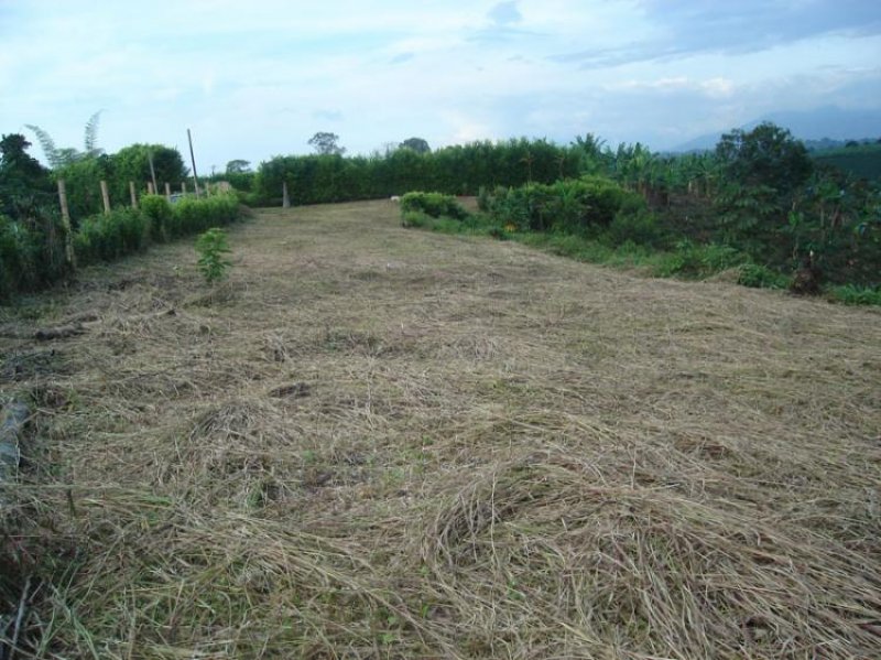 Foto Lote en Venta en Armenia, Quindío - $ 100.000.000 - LOV55065 - BienesOnLine