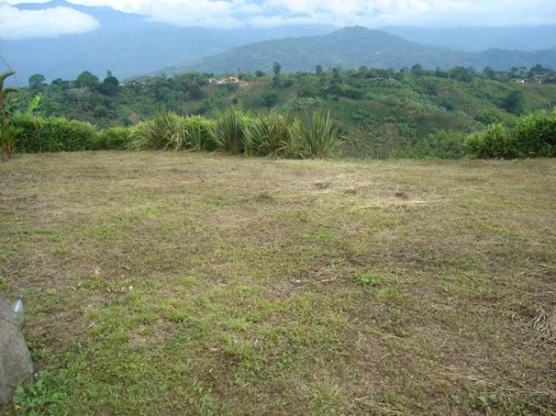 Foto Lote en Venta en Armenia, Quindío - $ 90.000.000 - LOV55060 - BienesOnLine