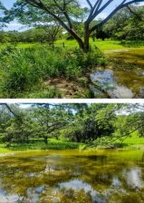 Finca en Venta en Anapoima Anapoima, Cundinamarca