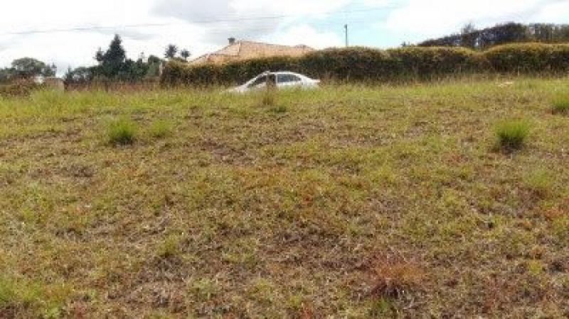 Foto Lote en Venta en Llanogrande, Rionegro, Antioquia - $ 850.000.000 - LOV190942 - BienesOnLine