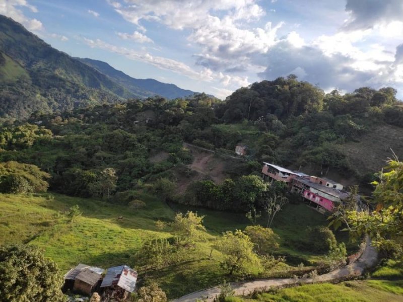 Lote en Venta en  Ebéjico, Antioquia